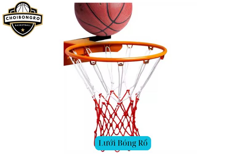 Lưới Bóng Rổ