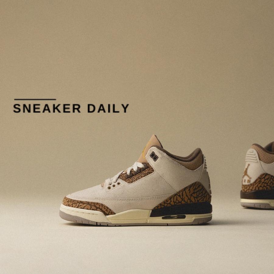Giày Air Jordan 3 Retro Palomino DM0967-102 - Ảnh 8